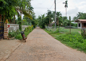 На улице в одной изи тайских деревень.