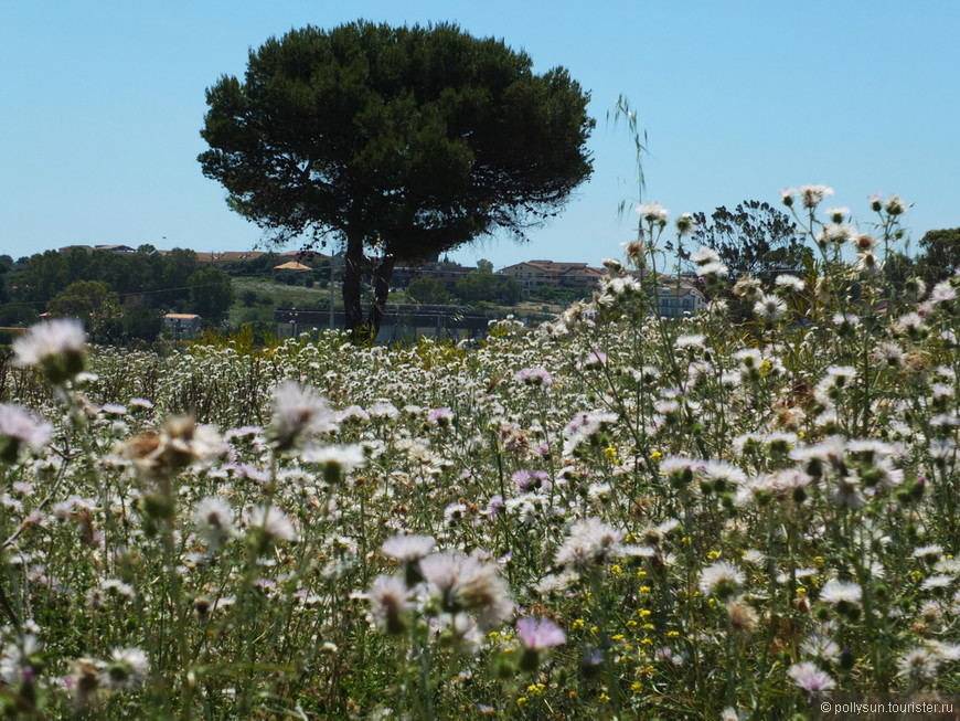 La montagna