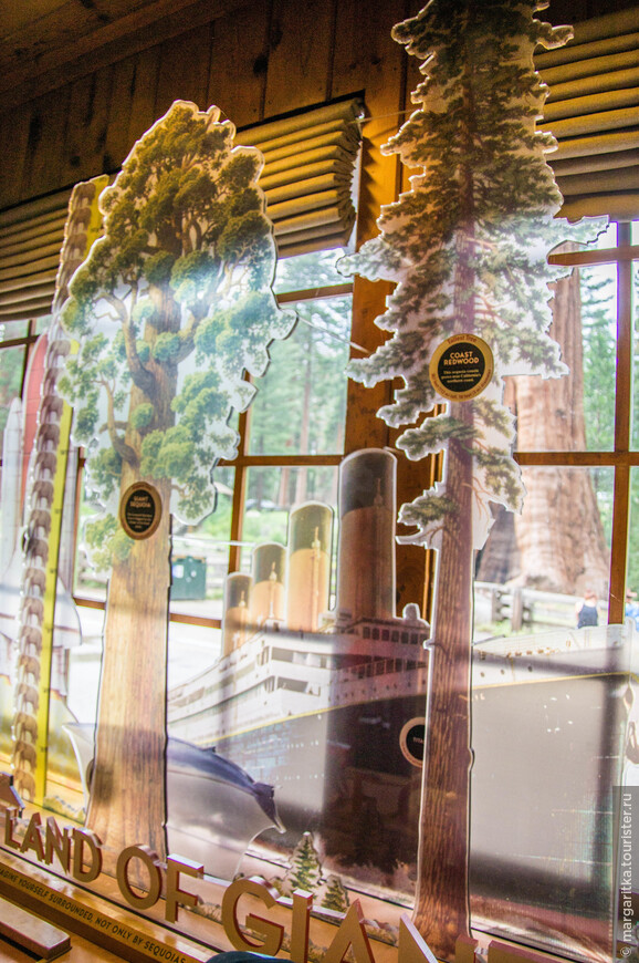 Музей Леса Гигантов в национальном парке Секвойя. Калифорния. США
