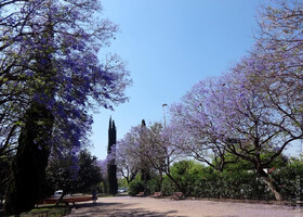 Разноцветные парки Валенсии