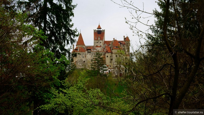 Замки, вампиры и околдовывающая красота Румынии