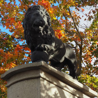 Этот лев установлен в честь победы шведов над русскими во время первого похода Петра Первого. На ядре видны шведские короны.