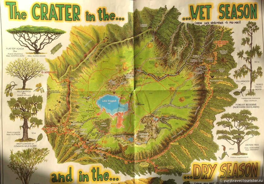 Карта кратера Нгоронгоро во Влажный сезон