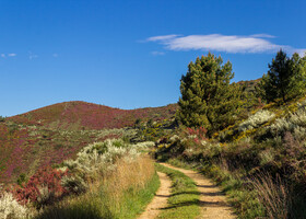 Camino: Вилльяфранка и Camino Duro