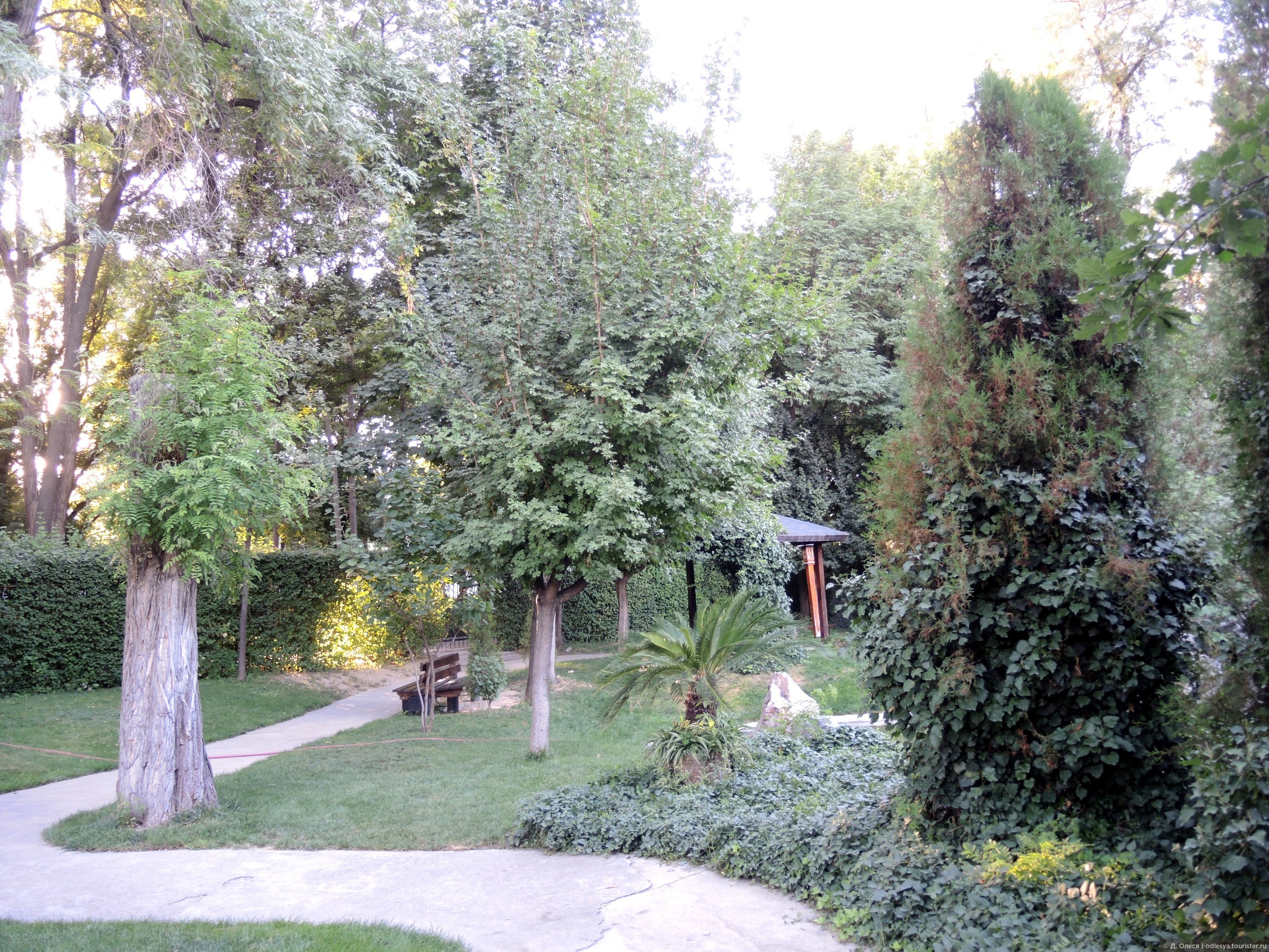 Ботанический сад ташкент. Flowers Garden Park Ташкент. Японский парк в Ташкенте фото. Новый цветочный сад в Ташкенте.