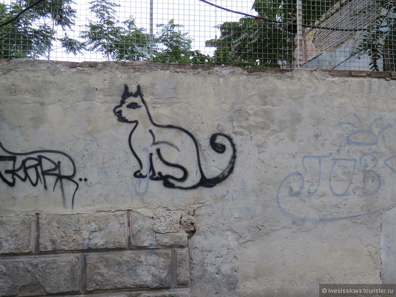 Стамбульские коты