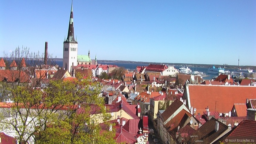 Отдых в Эстонии
