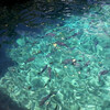 Калета Буэна, натуральный бассейн в корраловых рифах.