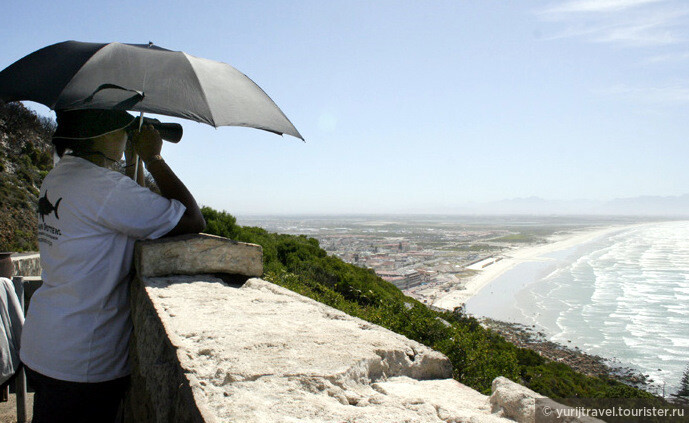 Моя первая Африка. Воспоминания о Кейптауне