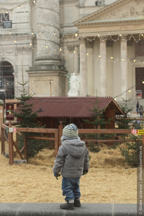 Рождество в Вене (2015): 10 лучших мест для отдыха с детьми