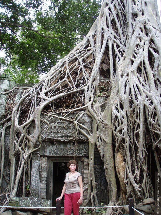 В Камбоджу, в Ангкор через Бангкок самостоятельно