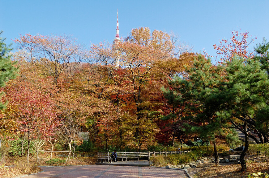 Первое знакомство с Сеулом - N Seoul Tower и ворота Намдэмун