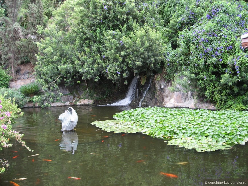 Канары. Тенерифе — Остров Вечной Весны. Часть 4. Лоро-Парк — самый-самый Зоопарк