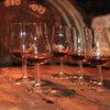 Cognac guide Roman Tatarov vip-wine-tours.com Bordeaux экскурсии тур гид Коньяк Бордо