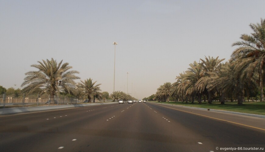 После пустых дорог Абу-Даби совсем не хотелось возвращаться в Дубай с его сумасшедшим трафиком