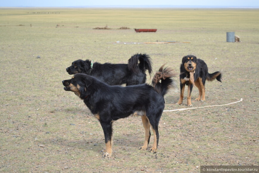 Монголия. В поисках озера Орог Нуур и палеолитической пещерной стоянки Цагаан агуй