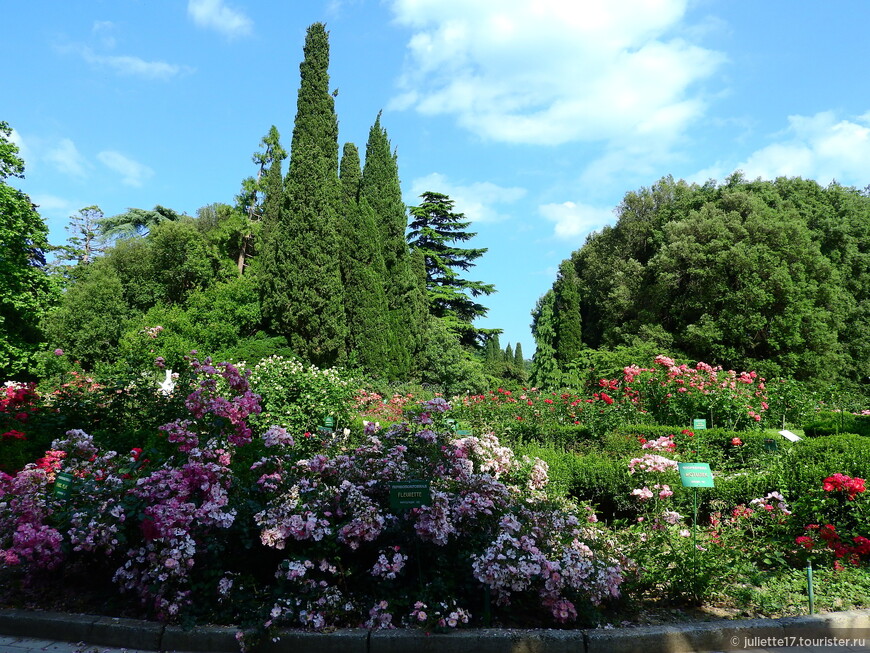 Никитский Ботанический сад