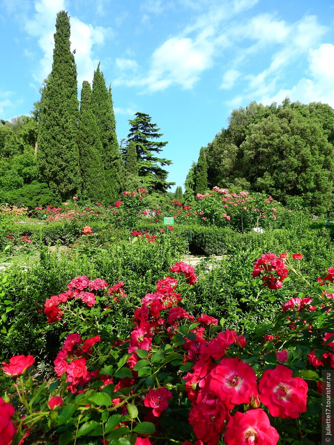 Никитский Ботанический сад