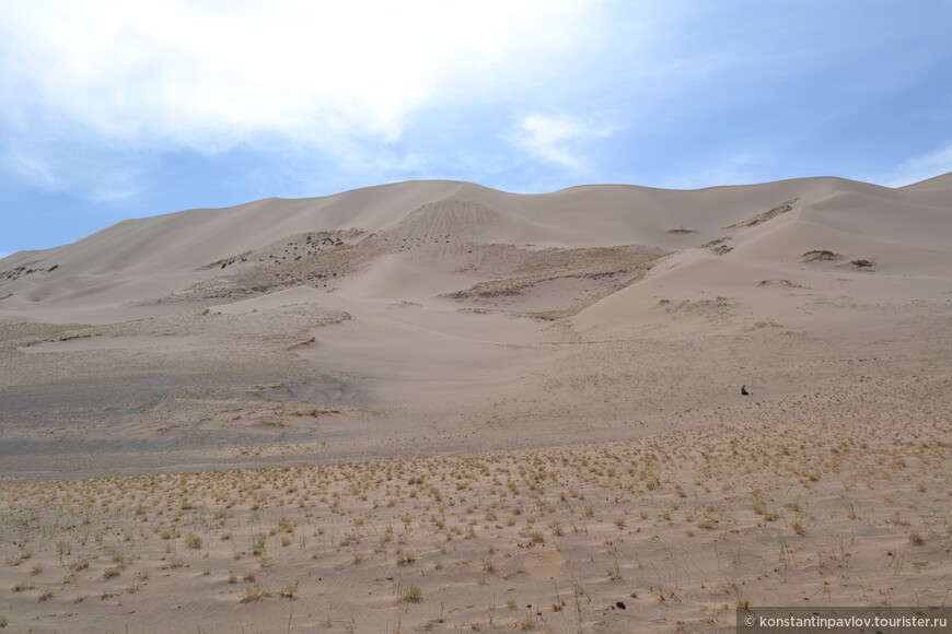 Монголия. В пустыне Гоби 