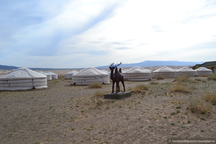 Монголия. В пустыне Гоби 