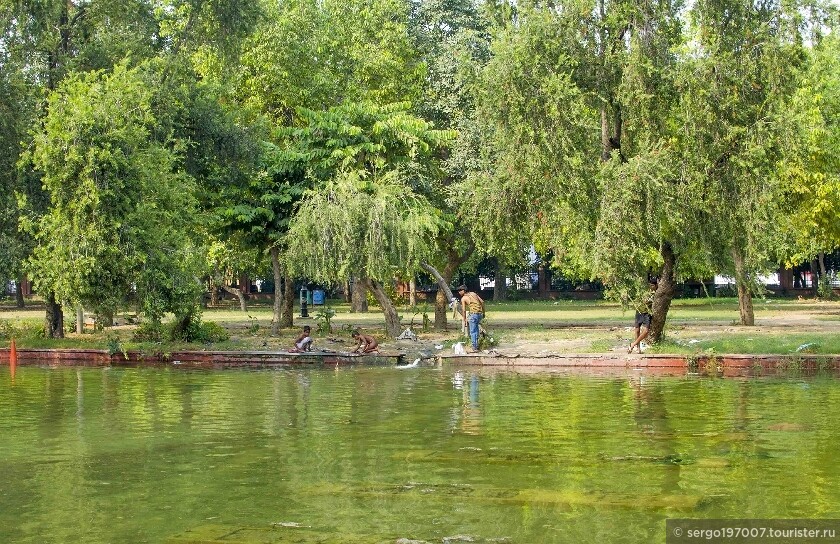 Записки дремучего провинциала