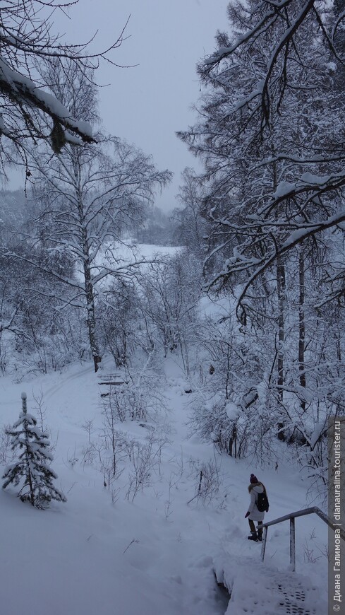 Зимняя экскурсия в Оленьи ручьи 29 декабря 2015