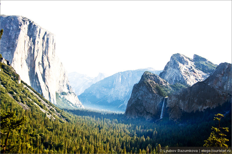 Национальные парки Йосемити и Секвойя