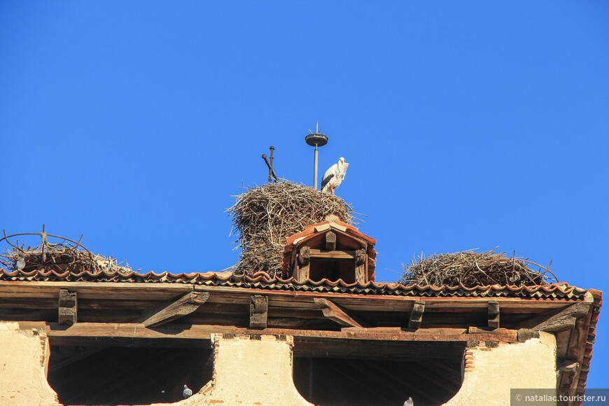 Многое в этой поездке было для меня впервые:вот, например, аисты на крыше церкви в Сеговии. 