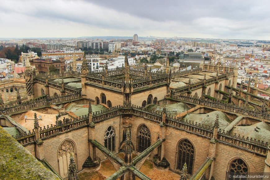 Гранада, вид на крыши  кафедрального собора со смотровой башни Хиральда.
