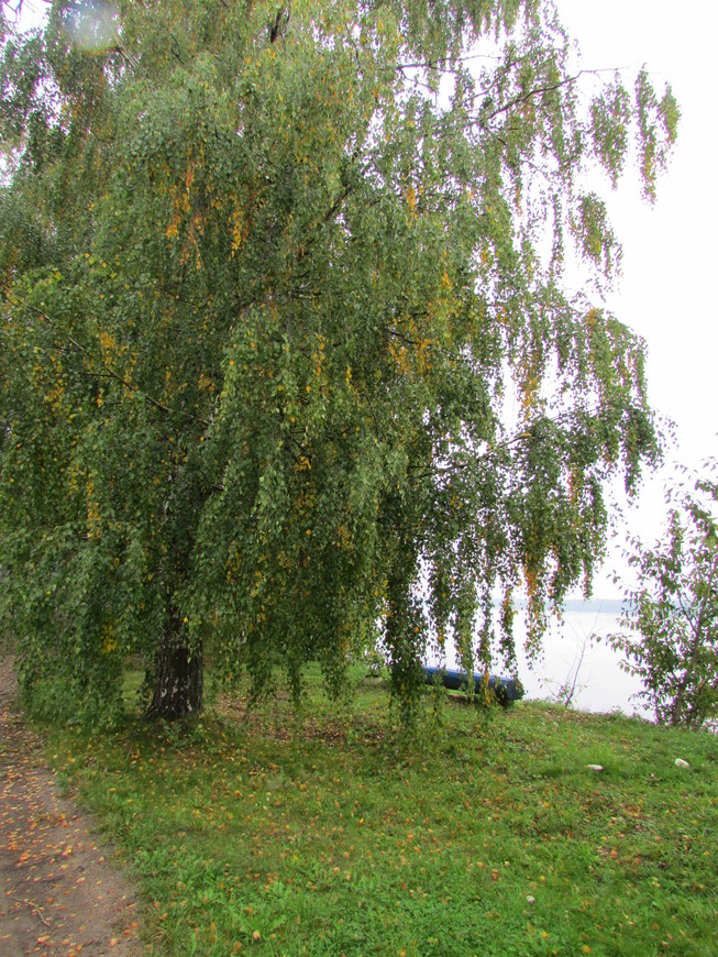 Диево-Городище: диво-дивное на Волге (13.09.2014)