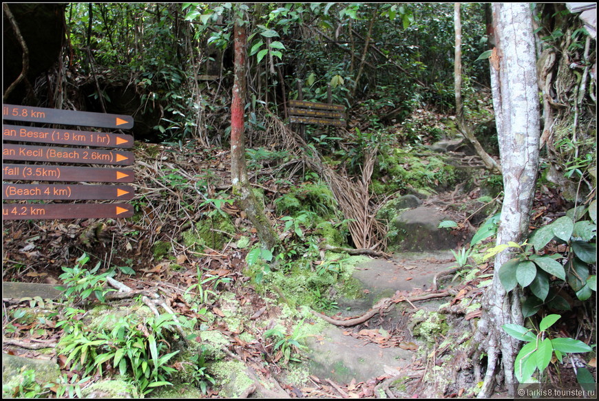 Достопримечательности Борнео (Малайзия). День восьмой. Национальный парк Бако