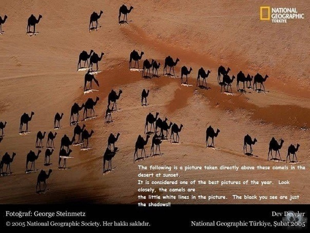 National Geographic (мои заметки)
