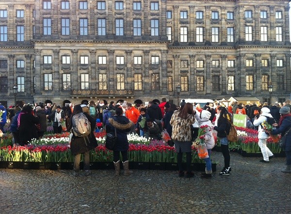 День тюльпанов в Амстердаме: как это было