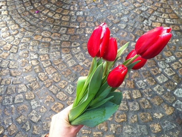 День тюльпанов в Амстердаме: как это было