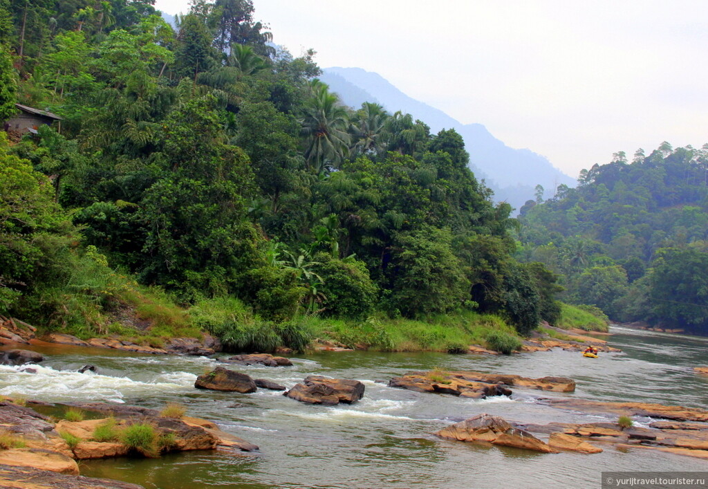 Шри ланка река. Река Махавели Ганга Шри Ланка. Келани река. Река Келания Шри Ланка. Китулгала рафтинг Шри Ланка.