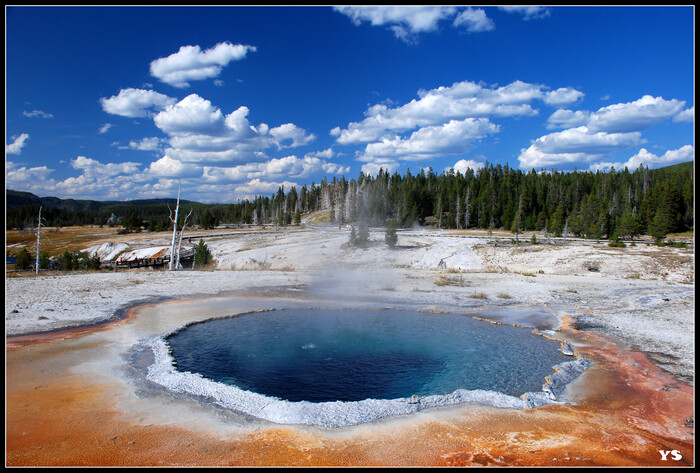 Yellowstone National Park туристы